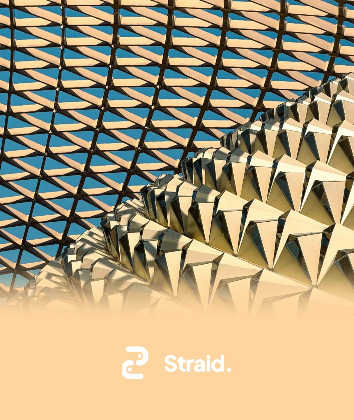 Straid Protocol