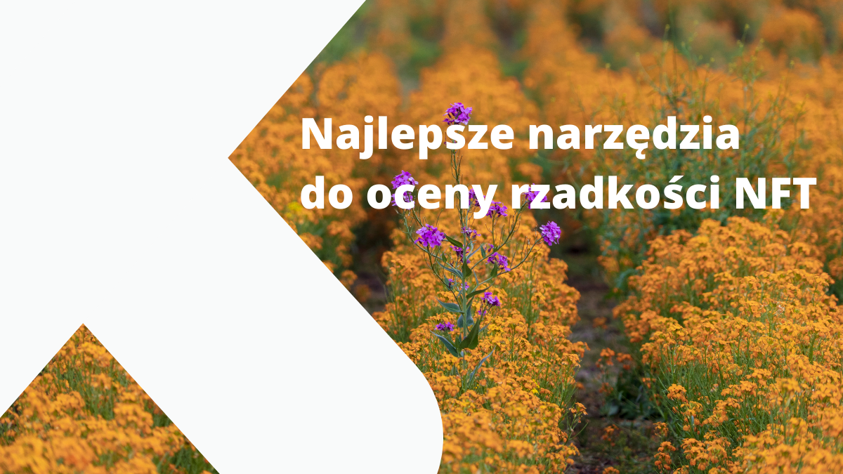 Jak w świecie NFT ocenić ich unikatowość?