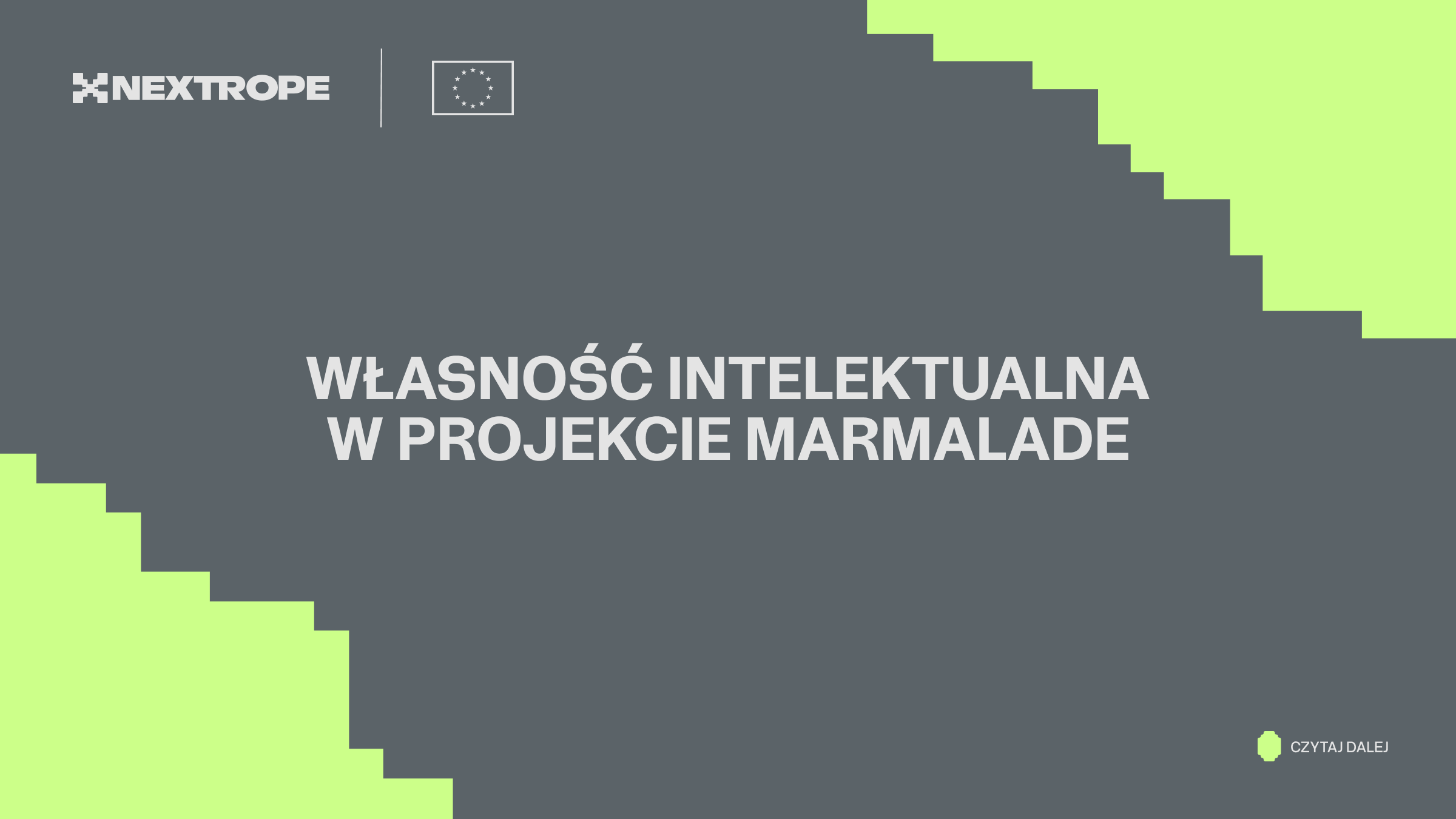 Własność intelektualna w projekcie MARMALADE