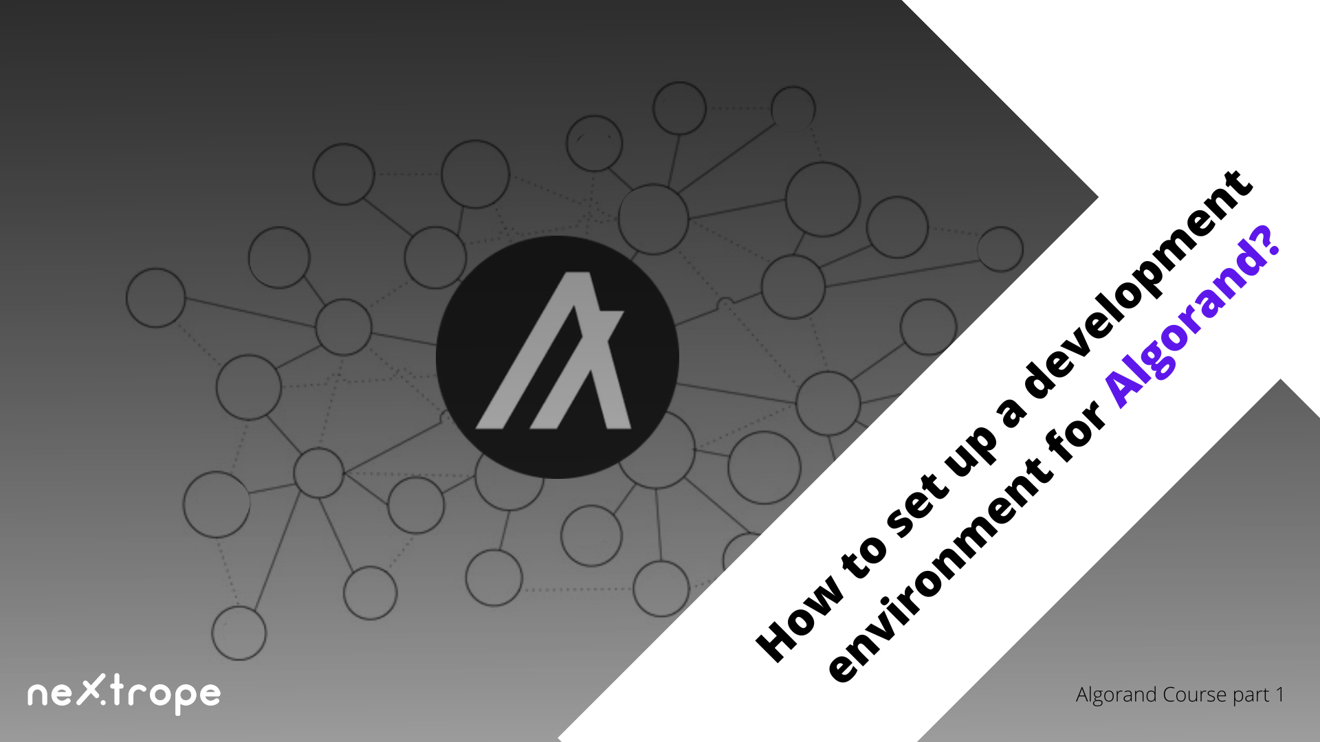 Algorand for Beginners 1 – How to set up a development environment for Algorand? | Nextrope Academy