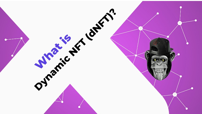 What is Dynamic NFT (dNFT)?