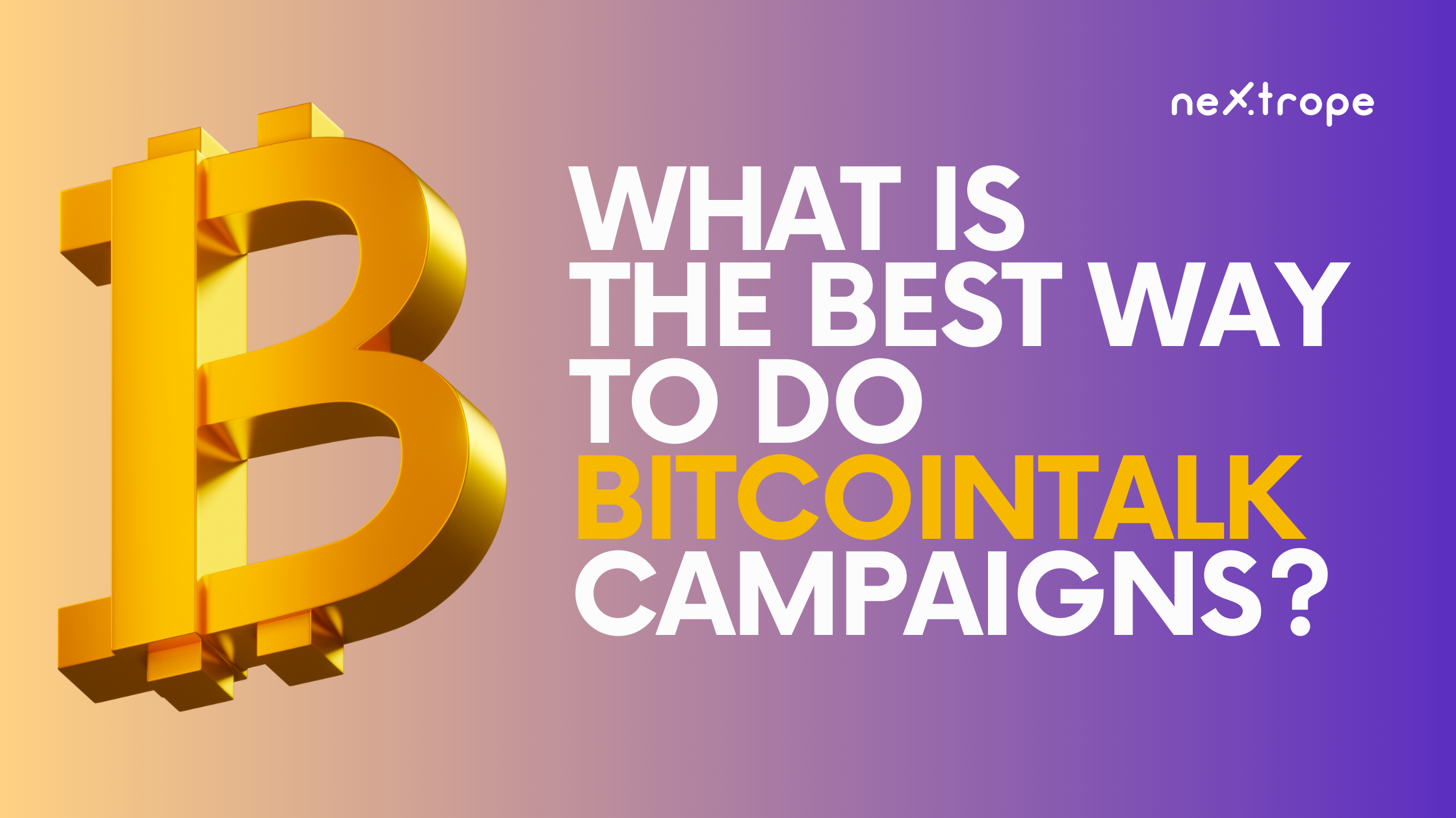 What is the Best Way to do Bitcointalk Campaigns?