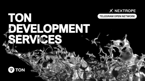 TON Development Services